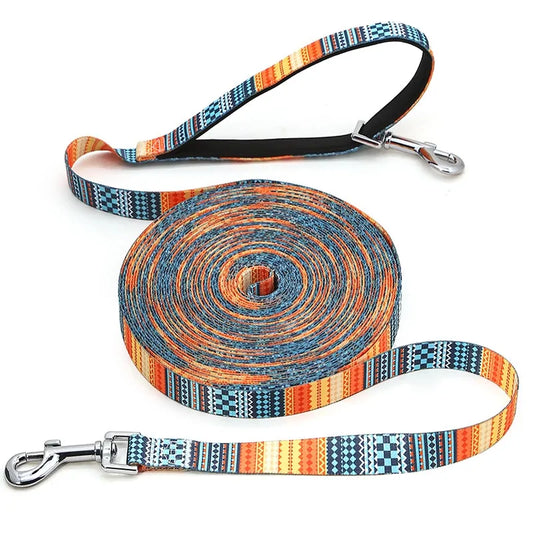 Vibrant Dog Leash