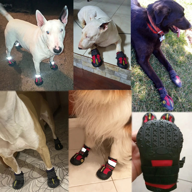 Dog Shoes Set