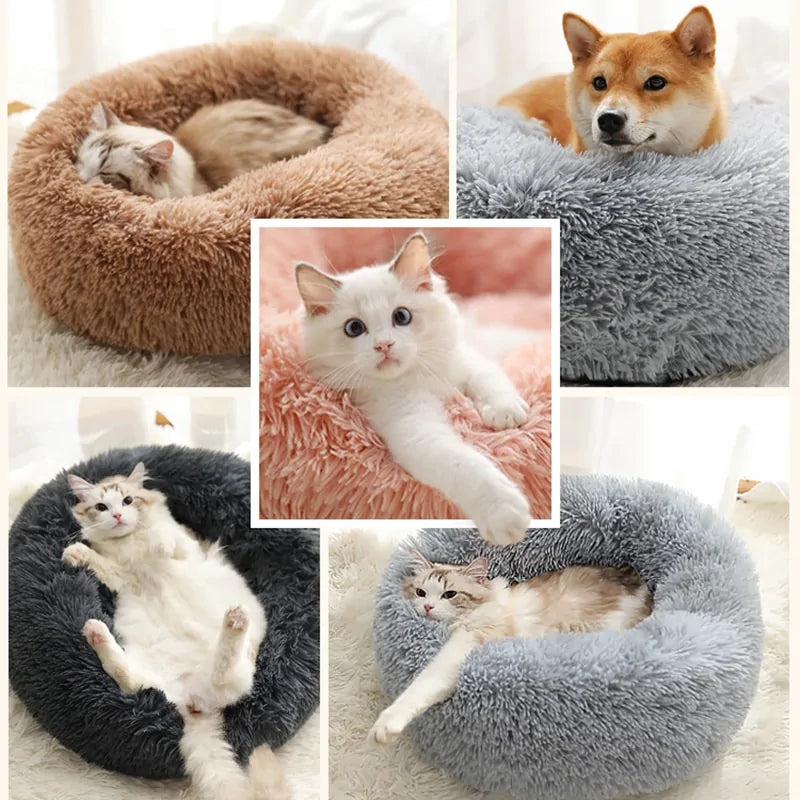 Plush Round Bed