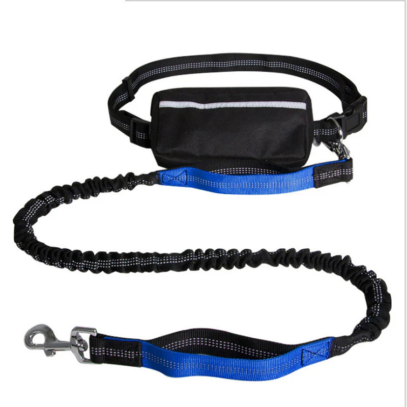 Leash with Zipper Bag