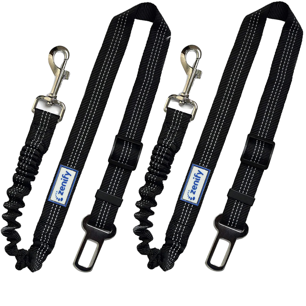 2 Pack Adjustable Car Leashes