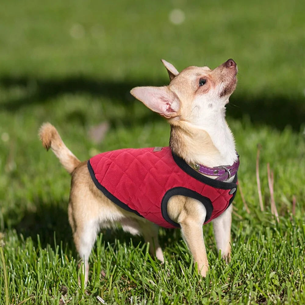 Dog Winter Vest