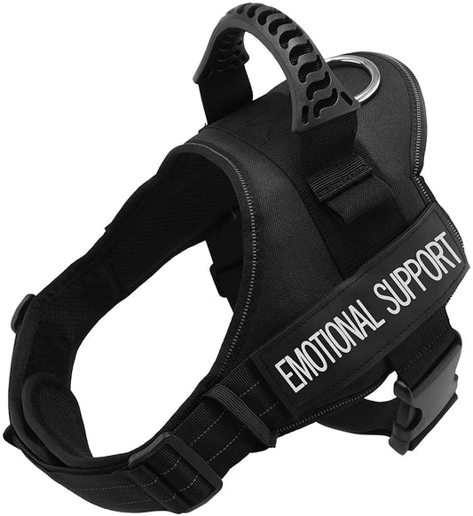 Reflective 'Emotional Support' Harness