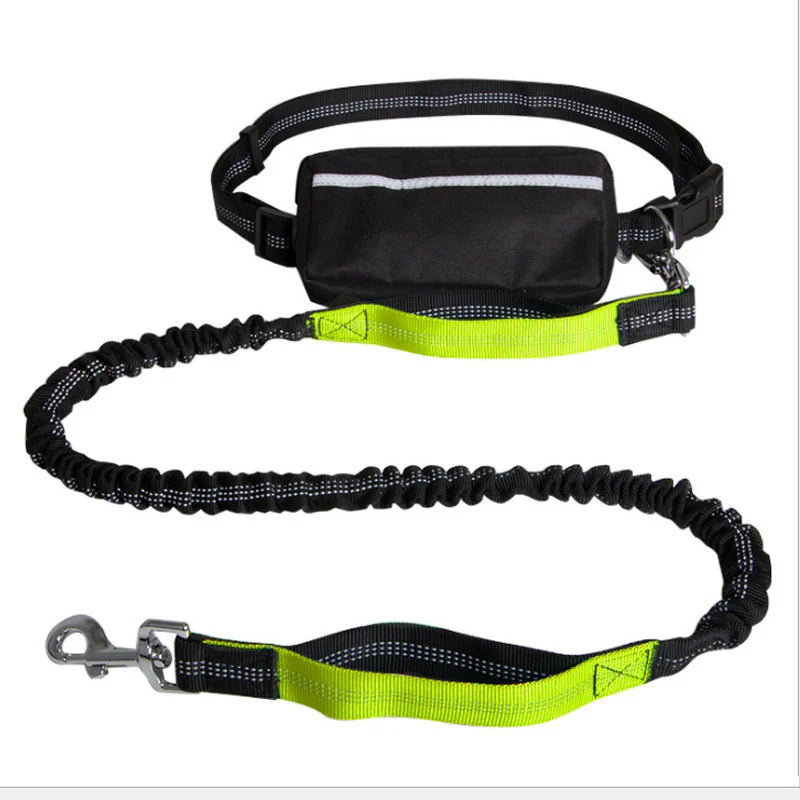 Leash with Zipper Bag