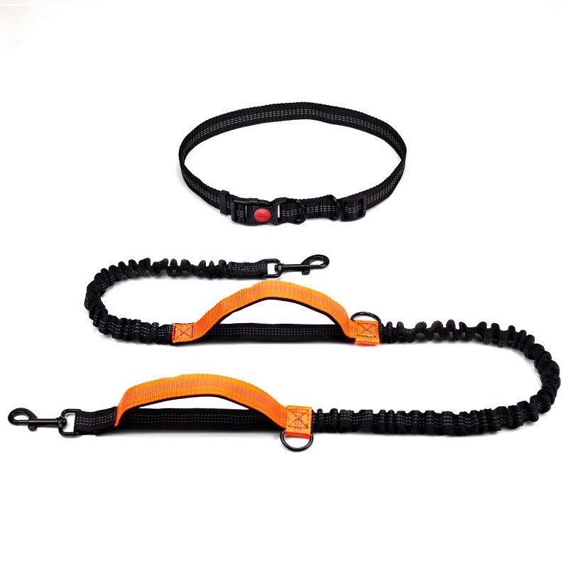 Leash with Zipper Bag