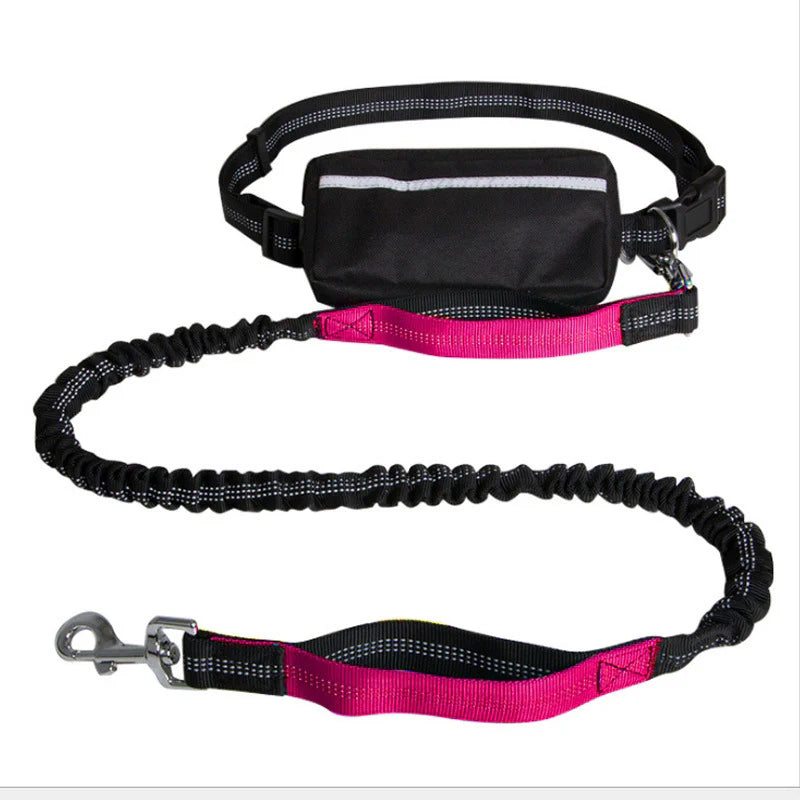 Leash with Zipper Bag