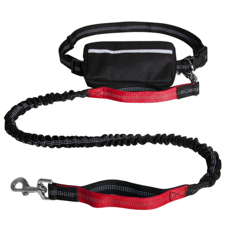 Leash with Zipper Bag