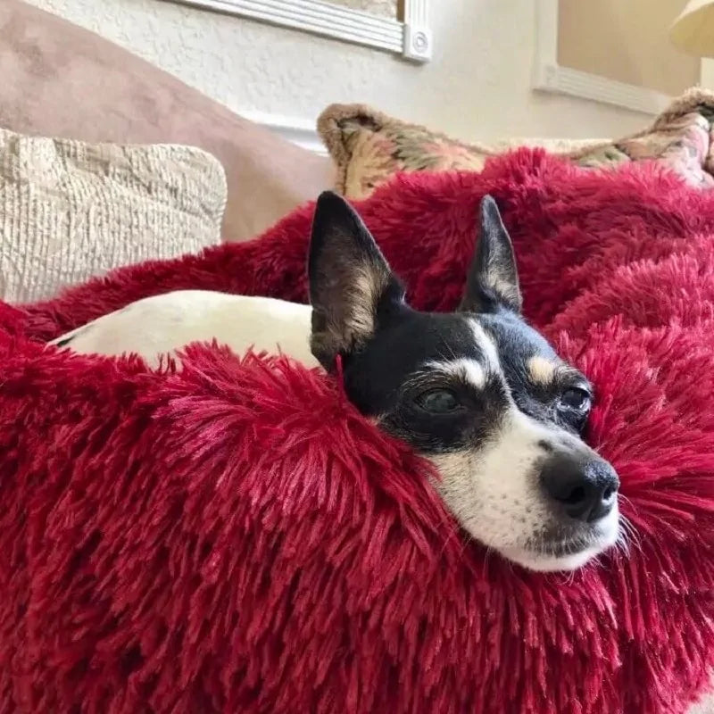 Plush Round Bed